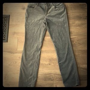 Gray Velvety Pants by Ann Taylor 30 Inch Inseam Size 10